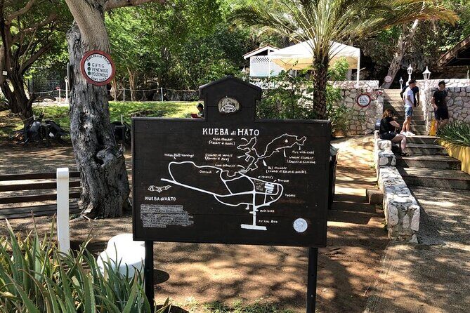 Half Day Hato Cave, Flamingo & Beach Tour - What Makes This Tour Stand Out?