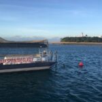 Half Day Low Island and Lagoon Snorkeling from Port Douglas - The Itinerary: What to Expect