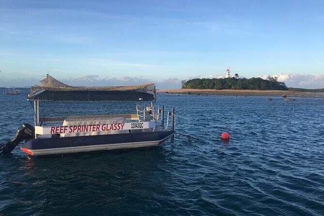 Half Day Low Island and Lagoon Snorkeling from Port Douglas - The Itinerary: What to Expect