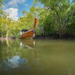Half Day Mangrove Forest Boat Tour with Lunch or Dinner - What’s the Experience Like?