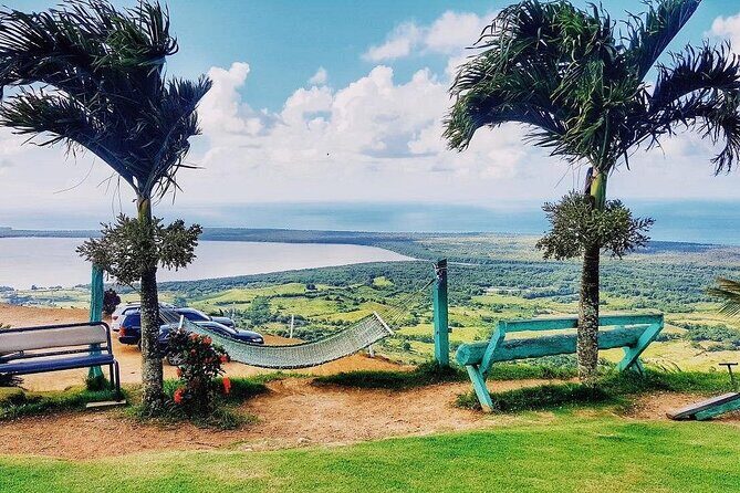 Half Day Montana Redonda Excursion from Punta Cana - An In-Depth Look at the Montana Redonda Half-Day Tour