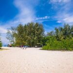 Half-Day Morning Bamboo Island Tour from Phi Phi by Longtail Boat - The Longtail Boat Ride: An Iconic Thai Experience