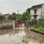 Half Day: Mua Cave - Hoa Lu Ancient Capital and Food Tour - Practical Details and What to Expect