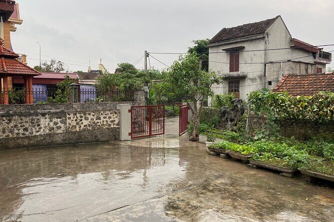 Half Day: Mua Cave - Hoa Lu Ancient Capital and Food Tour - Practical Details and What to Expect