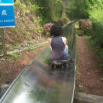 Half-Day Mutianyu Great Wall Tour with the Chairlift up and Toboggan down - The Fun Part: Toboggan Ride