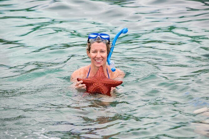 Half-Day Nassau Getaway: Rose Island Snorkeling & Turtle Visit - A Closer Look at the Itinerary