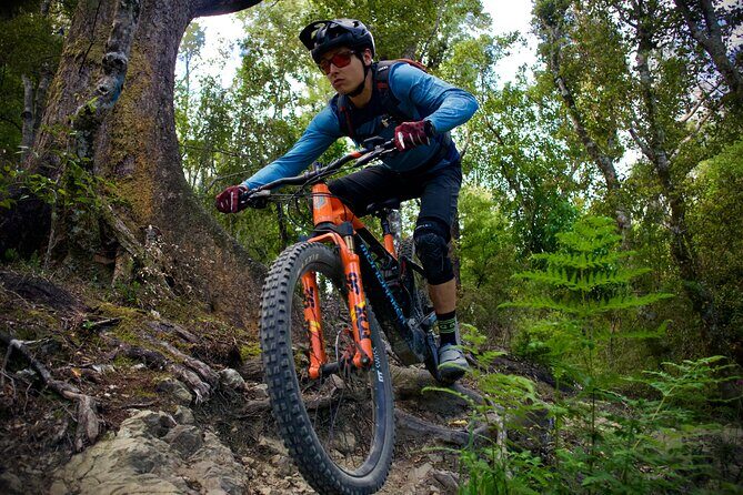 Half Day Nelson Electric Mountain Bike Rental Adventure - The Sum Up  