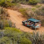 Half Day Off-Road & Snorkel Safari - What to Expect from Each Stop