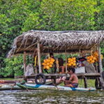 Half Day Private Exploration of the Beauty of Southern Coast - Who Should Consider This Tour?