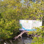 Half Day Private Exploration of the Beauty of Southern Coast - Transportation & Practicalities