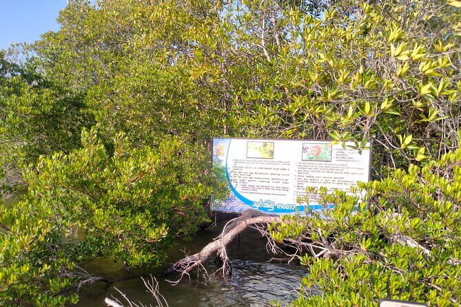 Half Day Private Exploration of the Beauty of Southern Coast - Transportation & Practicalities