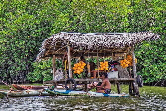 Half Day Private Exploration of the Beauty of Southern Coast - Who Should Consider This Tour?