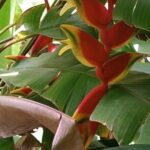 Half Day Private Island Adventure in Grenada - Authentic Insights from Past Travelers