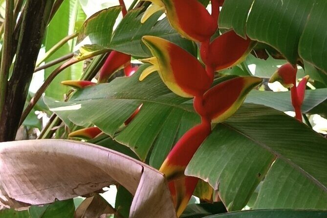 Half Day Private Island Adventure in Grenada - Authentic Insights from Past Travelers