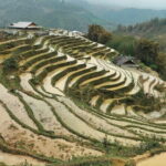 Half-Day Private Muong Hoa Valley Trek and Ethnic Tribes Tour - Practicalities and What to Expect