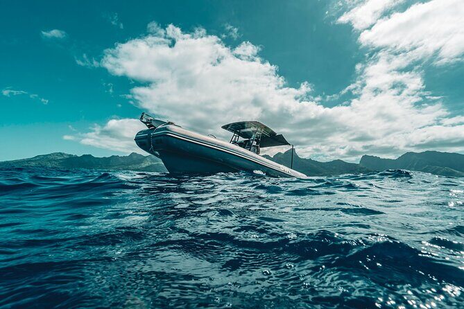 Half Day Private Whale Watching in Moorea - The Itinerary: How the Half-Day Unfolds