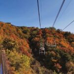 Half-Day Relaxing Mutianyu Great Wall Tour with the English Speaking Driver - Authentic Insights from Other Travelers