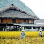 Half Day Sapa Cat Cat Explore Waterfall, Workshop, H'mong Local - Practical Details & What It Means for You