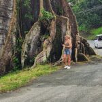 Half Day Tobago Tours with Transfers - Transportation and Comfort