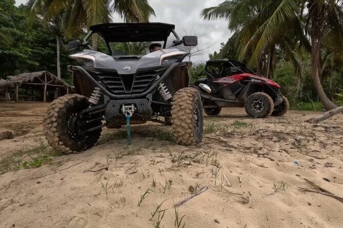 Half Day Tour and Buggie Adventure at Samana - The Value for Money