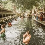 Half Day Tour: Discover Best of Ubud in 5 Hours - Who Will Love This Tour?