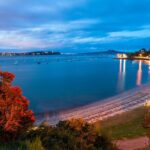 Half Day Tour EAST AUCKLAND Explorer and Scenic Ferry Return - What Does the Tour Mean for You?