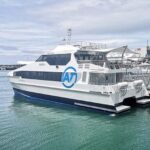 Half-Day Tour - EAST AUCKLAND Explorer & Scenic Ferry Return - What Makes This Tour Stand Out?