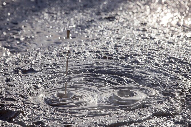 Half-Day Tour - Ex Rotorua: WAI-O-TAPU Thermal Wonderland - Final Thoughts: Is It Worth It?