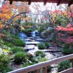 Half Day Tour in Himeji Castle and Koko-en - Practical Details & Tips