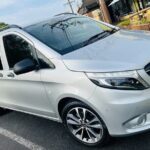 Half Day Tour in Melbourne City Highlights - In-Depth Look at the Itinerary