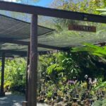 Half Day Tour in Nadi - Why This Tour Works