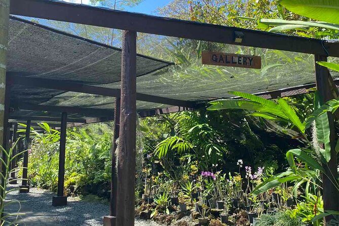 Half Day Tour in Nadi - Why This Tour Works