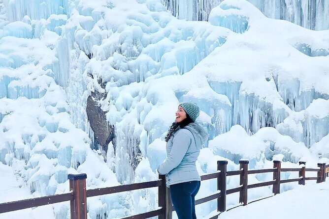 Half Day Tour to Eobi Ice Valley and Nami Island - Why Choose This Tour? An In-Depth Look
