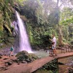 Half Day Tour Ubud Rice Terrace with Activities and Waterfall - In-Depth Look at the Tour Itinerary