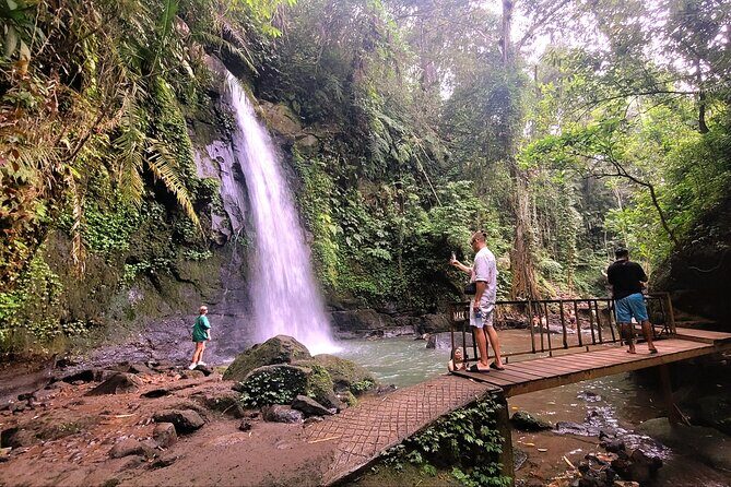 Half Day Tour Ubud Rice Terrace with Activities and Waterfall - In-Depth Look at the Tour Itinerary