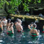 Half Day Ubud and Tampak Siring Private Tour From Bali - An In-Depth Look at the Tour Itinerary
