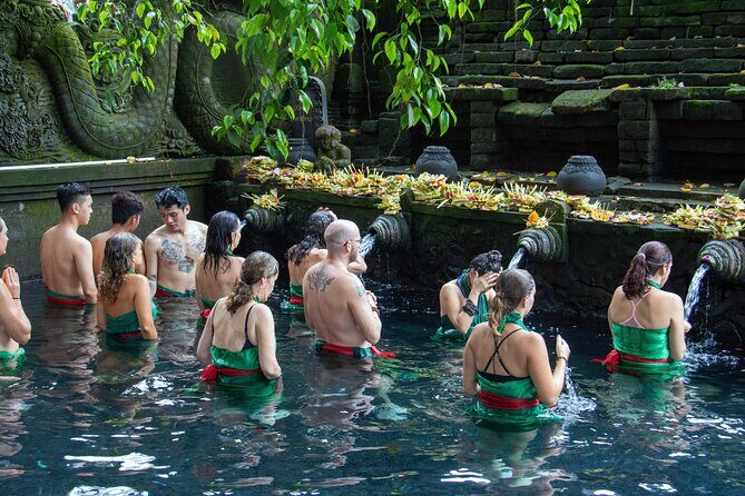 Half Day Ubud and Tampak Siring Private Tour From Bali - An In-Depth Look at the Tour Itinerary