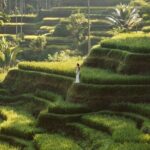 Half Day Ubud Private Tour - All Inclusive - The Value and Practical Aspects