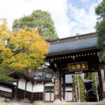 Half-Day Walking Tour: Takayama's Hidden Gems & Temple Walk - Why This Tour Is a Great Choice for You