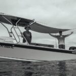 Half day Whales watching PRIVATE group - The Cost: Is It Worth It?