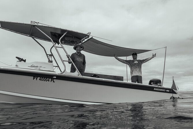 Half day Whales watching PRIVATE group - The Cost: Is It Worth It?