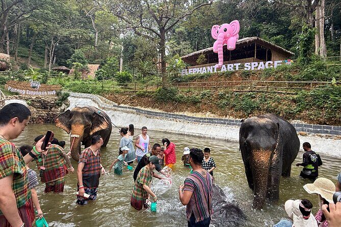 Half day with Elephants at Patong Elephant Hug No ride No trick - The Itinerary: What You Can Expect