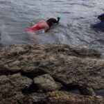 Half Island West side history/ snorkel tour - The Sum Up: Is It Worth It?