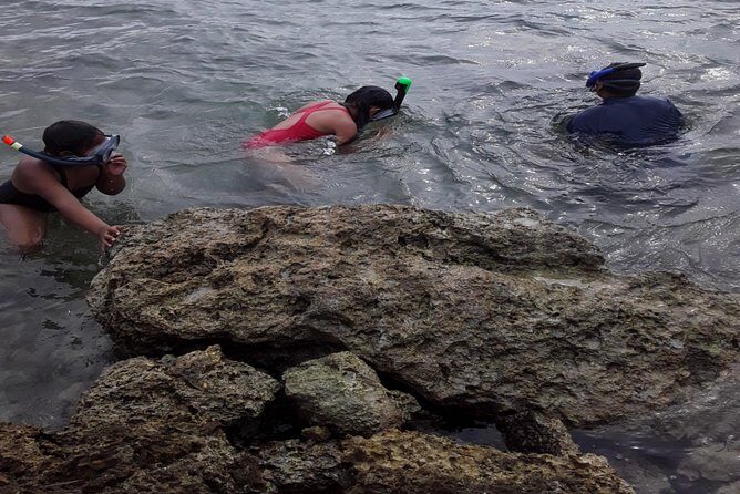 Half Island West side history/ snorkel tour - The Sum Up: Is It Worth It?