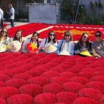 Halfday Handicraft Village Tour From Hanoi - Transportation & Practical Details