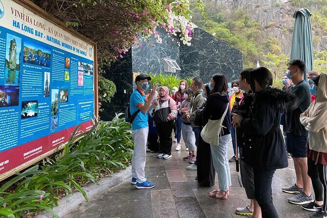 Halong Bay Day Cruise Trip: Thien Cung Cave & Kayaking - What Could Be Improved