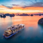 Halong Bay Guided Tour from Hanoi - Detailed Review of the Halong Bay Tour Experience