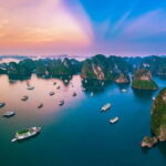 Halong Bay One Day Tour Included Bus - First Stop: Tuan Chau Island and the Cruise Begins