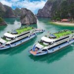 Halong Bay VIP Cruise: Swim, Kayak, Caves, Buffet Lunch and Party - The Food: Fresh Seafood and a Buffet Feast