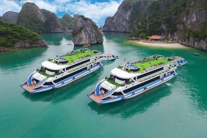 Halong Bay VIP Cruise: Swim, Kayak, Caves, Buffet Lunch and Party - The Food: Fresh Seafood and a Buffet Feast